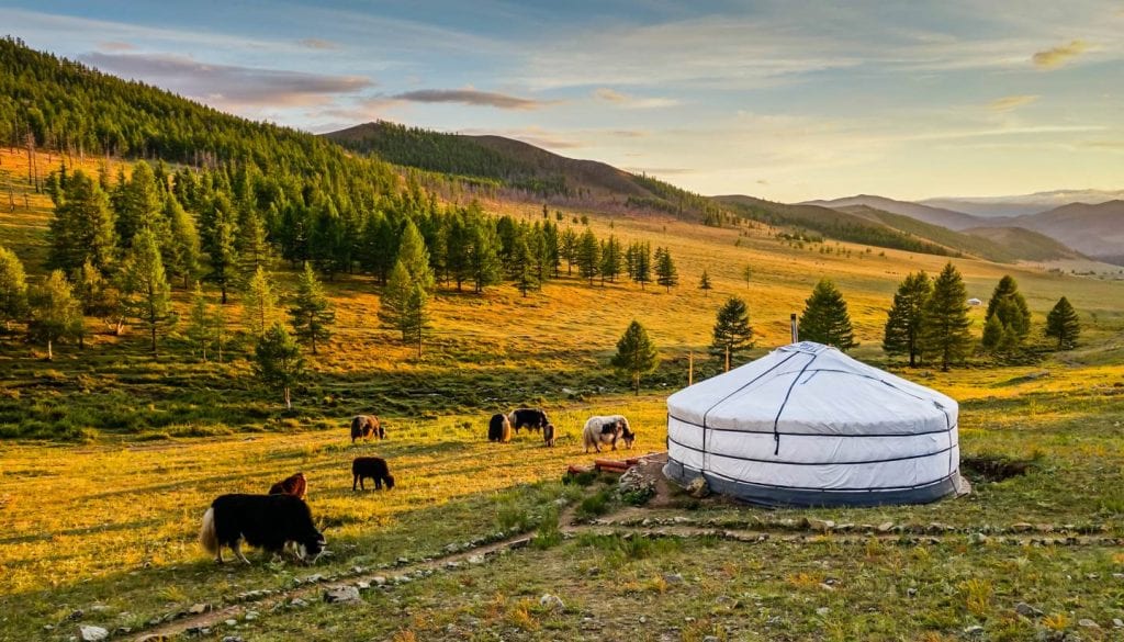 10 Day Best of Mongolia Tour MyHoliday2