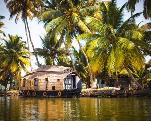 South India Kerala Tour