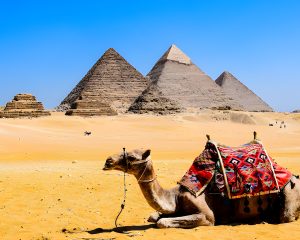 Egypt Tour with Flights