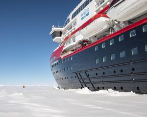 highlights of antarctica