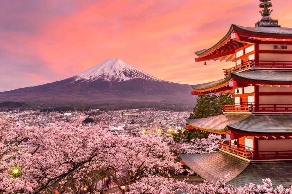 japan cherry blossom tour 2027 2028