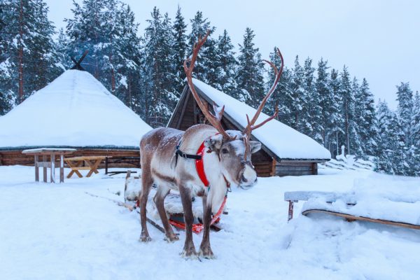 Follow The Lights Norway and Finland Christmas 2026