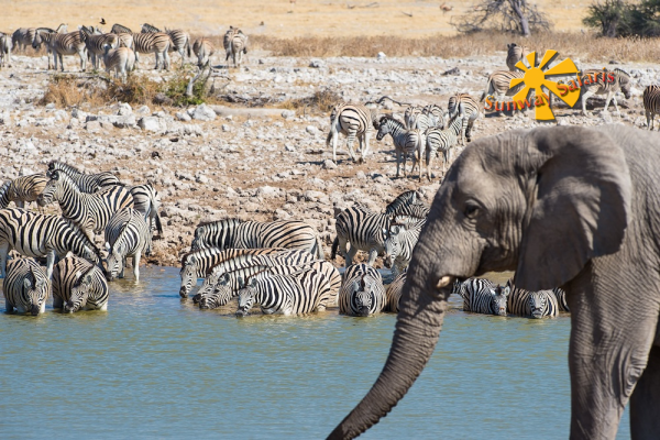 15 Day Namibia to Victoria Falls Classic Safari
