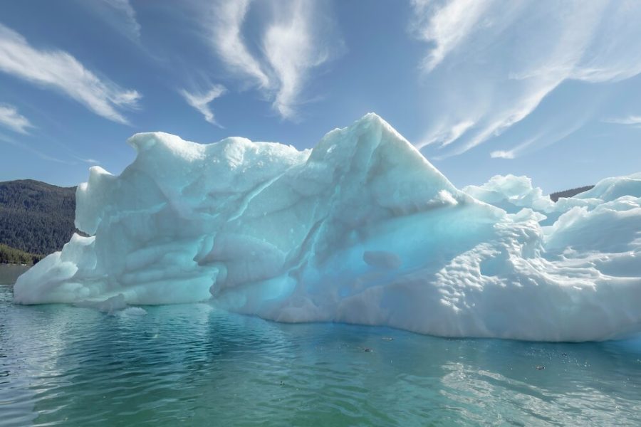 Alaska - Wrangell - LeConte Glacier - HX