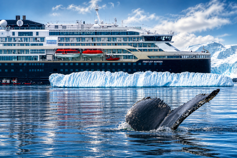 Antarctica - Fournier Bay - Humpback Whale - MS Fridtjof Nansen - HX