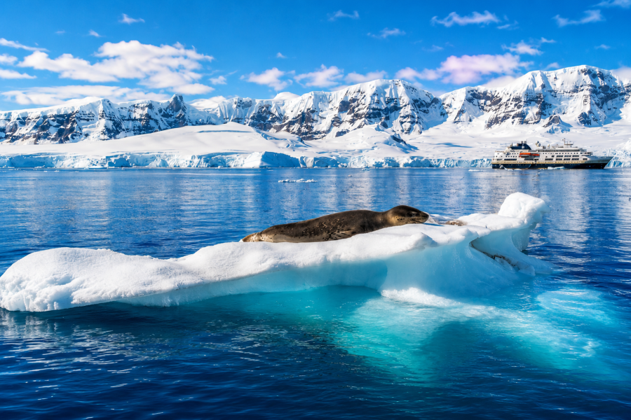 Antarctica - Fournier Bay - MS Fram - Seal - HX