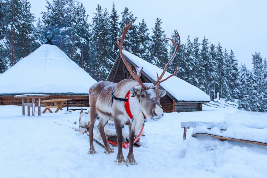 Follow The Lights Norway and Finland Christmas 2026