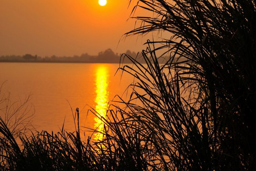 Cambodge-Mekong-paysage©Compagnie Fluviale du Mekong