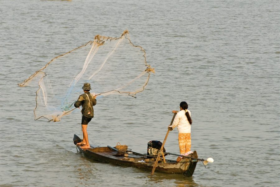 Pêche à l'épervier