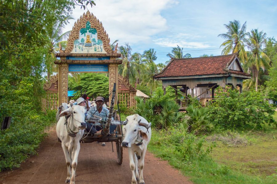 Cambodge-Mekong-promenade-char-boeuf-pagode01©Christina Guan