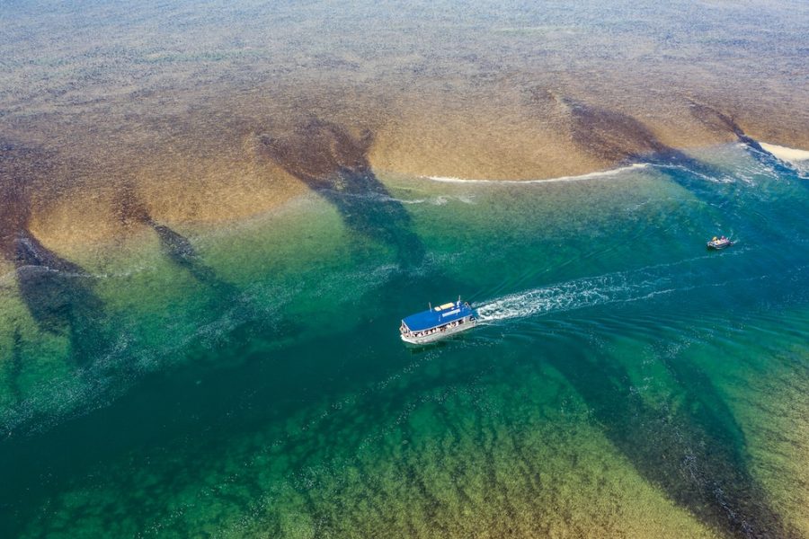 Coral Expeditions - The Kimberley Cruise - Montgomery Reef (3)