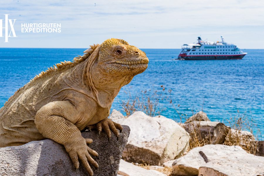 Galapagos expedition cruise