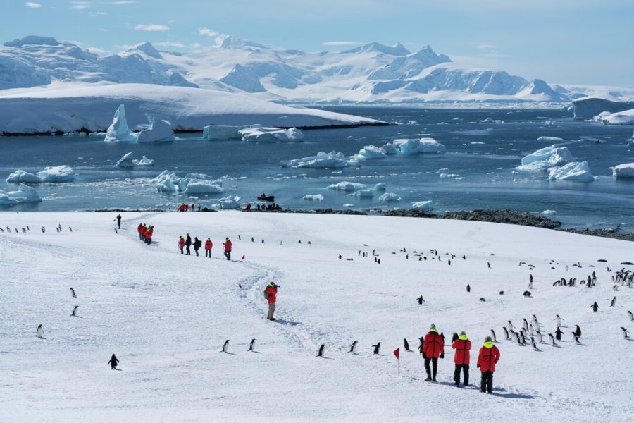 George-Point-Antarctica-HGR-158353_1080-Photo_Yuri_Matisse_Choufour