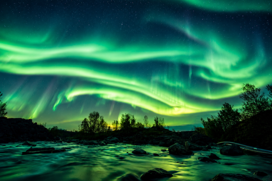Hurtigruten - Northen Lights over Forest