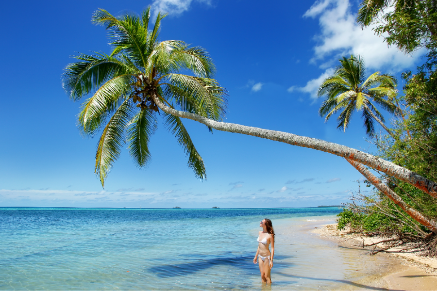 Leaning palm tree at Makaha'a island near Tongatapu island in Tonga Kindom of Tonga is an archipelago comprised of 169 islands_edited