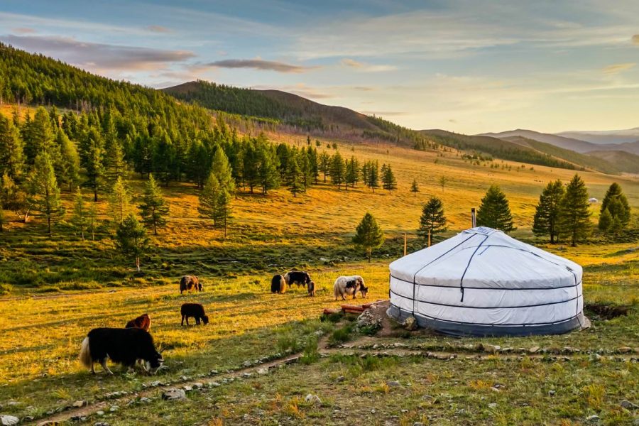 10 Day Best of Mongolia Tour MyHoliday2