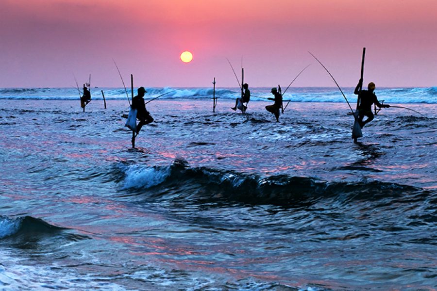Sri Lanka Stilt Fisherman MyHoliday2 Sri Lanka Tour