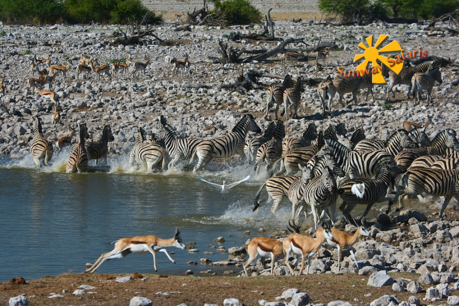 Sunway Cape Town to Victoria Falls 11