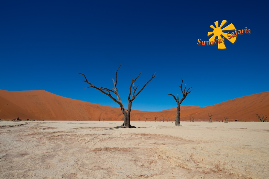 Sunway Cape Town to Victoria Falls 6