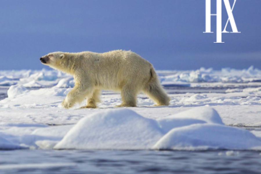 Svalbard, Greenland, Iceland expediton