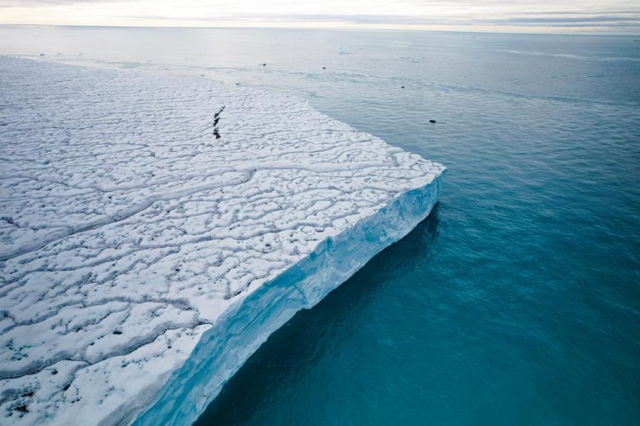 Swan Hellenic Svalbard 1