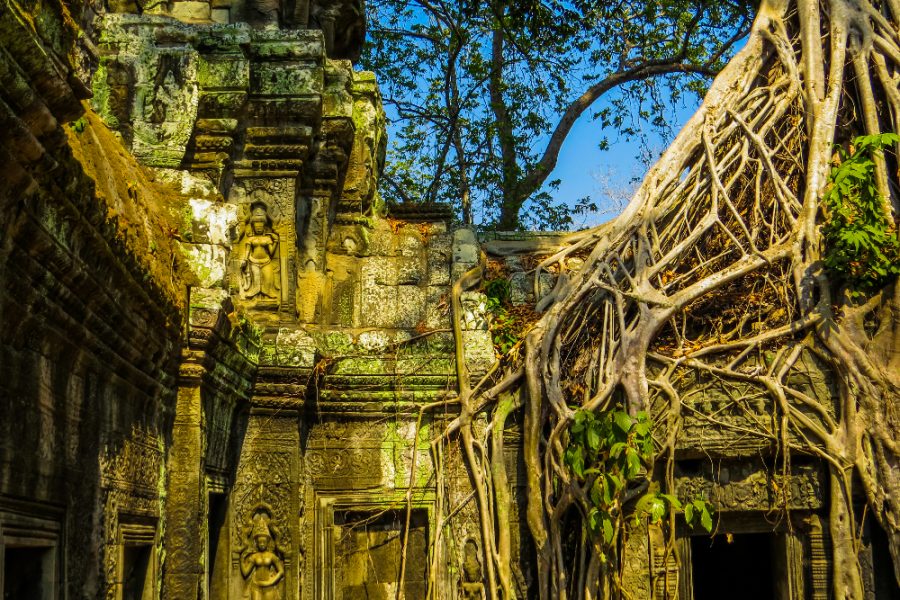Ta Phrom Temple, Angkor Wat, Cambodia_edited