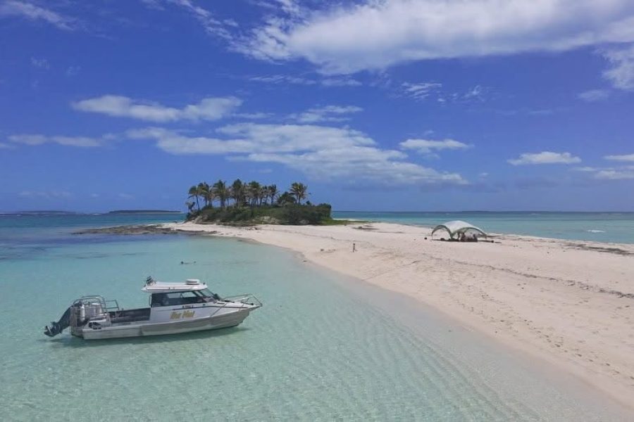 Tahi Tonga