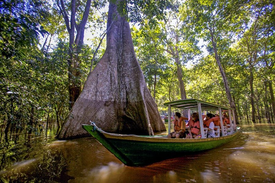 peru and amazon tour