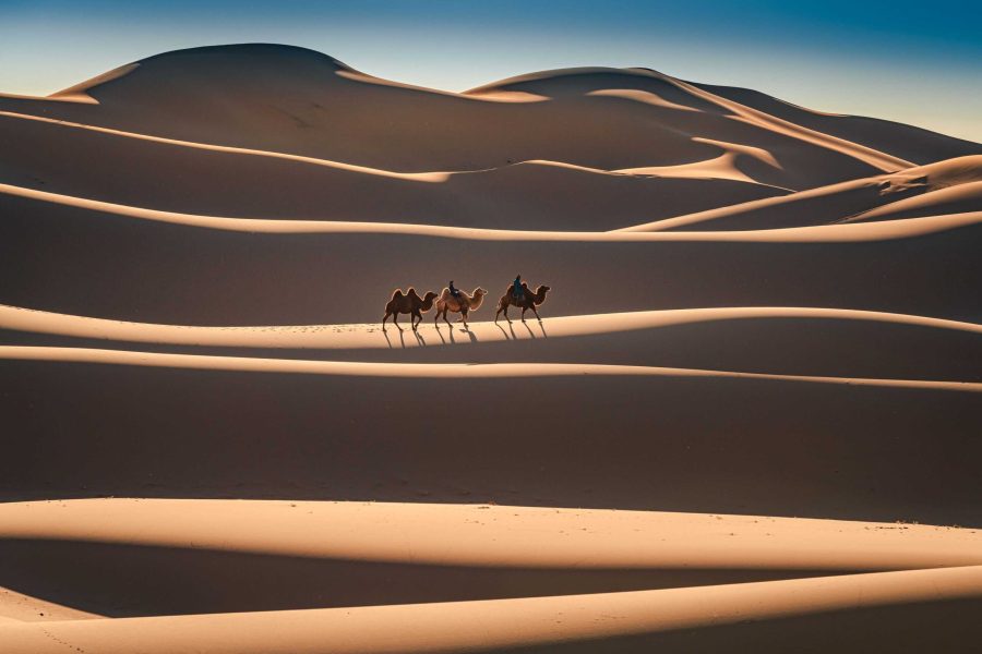 mongolia desert