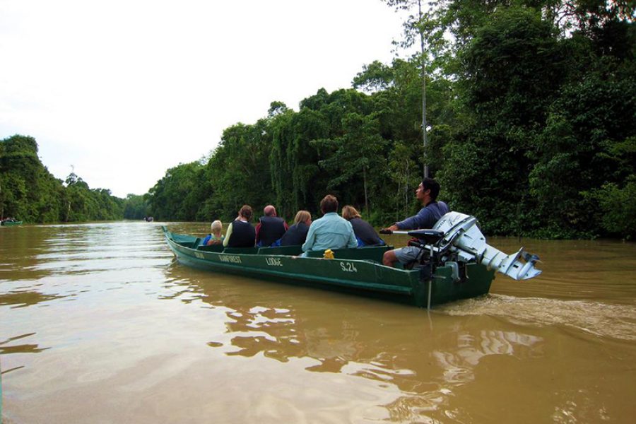 river-cruise-on-the-kinabatangan-river-borneo_655746_l