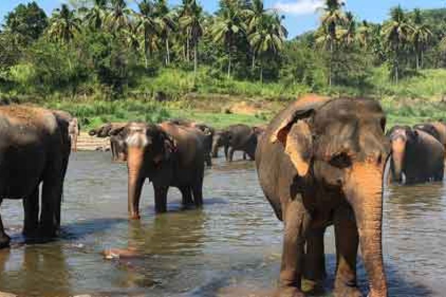 sri-lanka