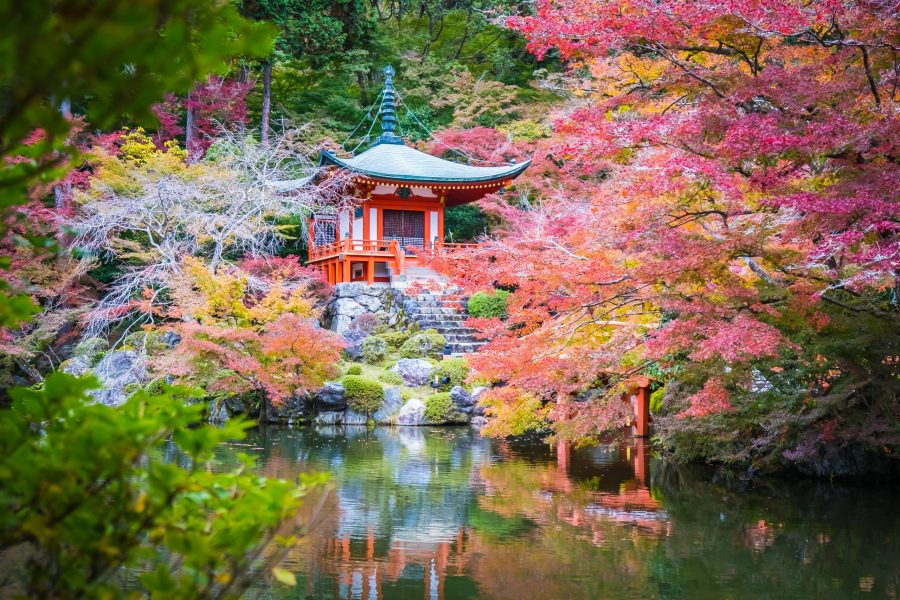 Beautiful Daigoji temple with colorful tree and leaf in autumn season Kyoto Japan